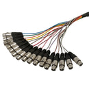 Premium Phantom Cables XLR Male to XLR Female Balanced Analog 16-Channel Snake Cable