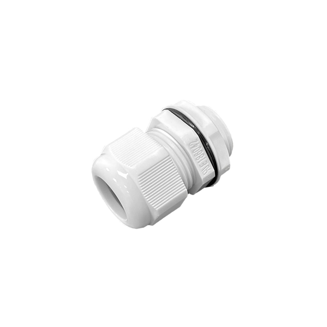 Color_White