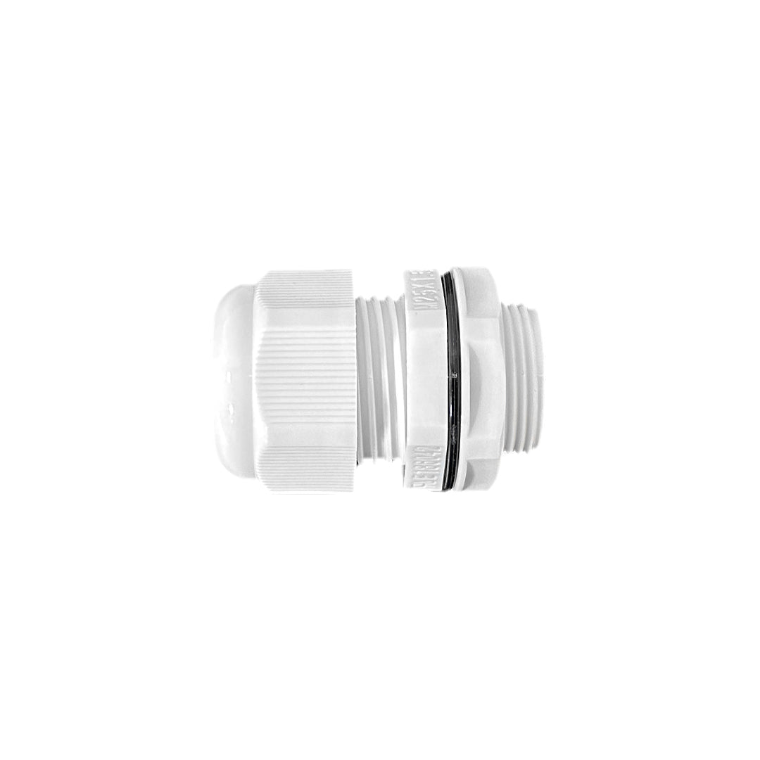 Color_White