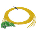 3m SC/APC 12-Fiber OS2 Singlemode Simplex 9 micron - 900um Pigtail - Yellow