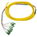 3m LC/APC 12-Fiber OS2 Singlemode Simplex 9 micron - 900um Jacketed Pigtail - 19inch Fan-Out - OFNR