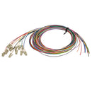 3m LC/PC 12-Fiber OM2 Multimode Simplex 50 micron - 900um Pigtail - Color Coded
