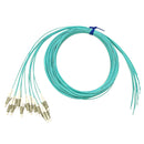 3m LC/PC 12-Fiber OM4 Multimode Simplex 50 micron - 900um Pigtail - Aqua