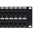 48-Port CAT6 Patch Panel, 19" Rackmount 2U - Pass-Through